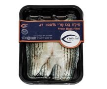 פילה באס טרי - דגת הארץ