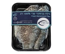 פילה ברמונדי טרי - דגת הארץ