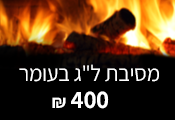 מסיבת לג בעומר ל 15-20 ילדים