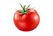 עגבניה פרימיום