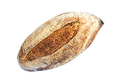 צרפתי עשבי תיבול - אגדת לחם