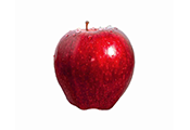 תפוח עץ חרמון - בראשית