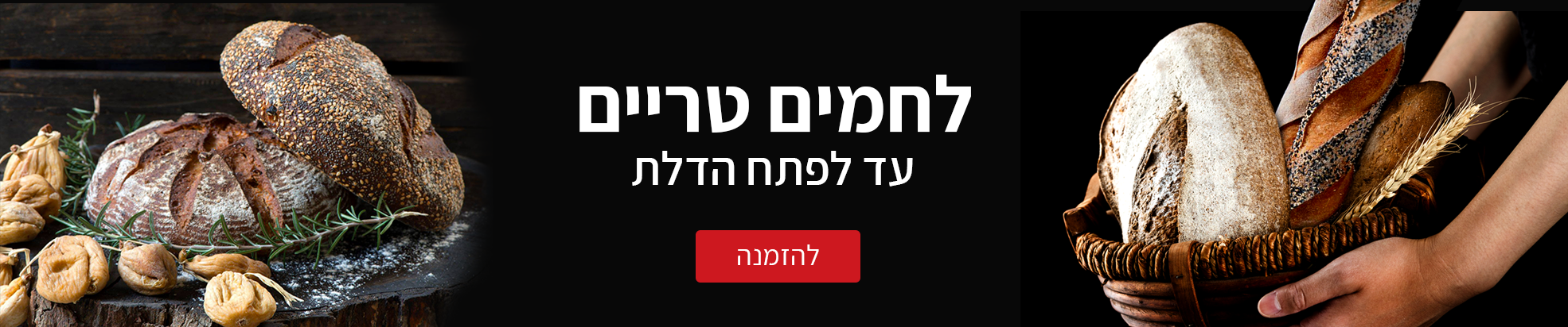 לחמים טרים
